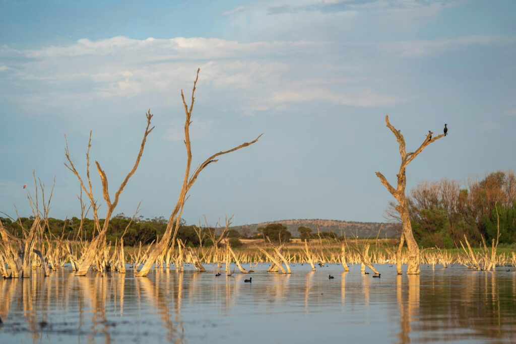 lake-wyangan