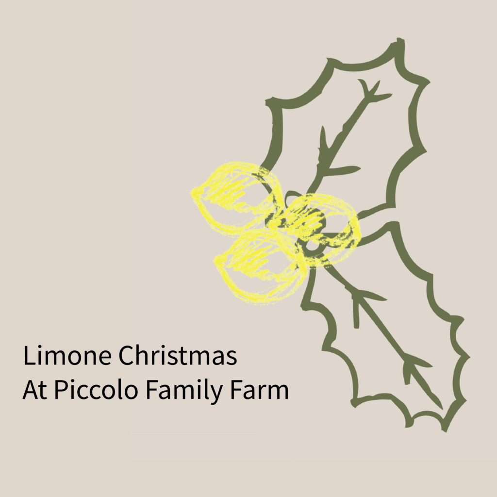 Limone Christmas at Piccolo Family Farm